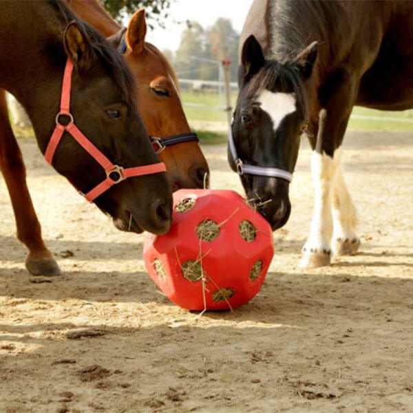 Pferdespielzeug für den Paddock