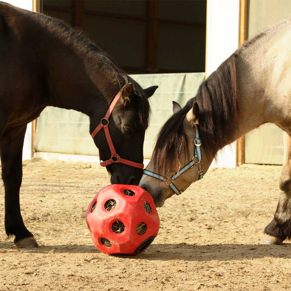 Kategoriebild Pferdespielzeug