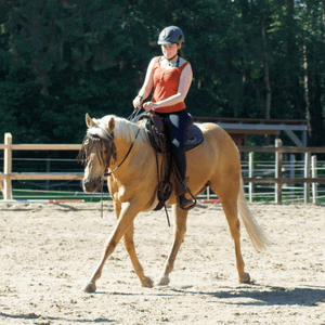 Kategorie Westernreiten