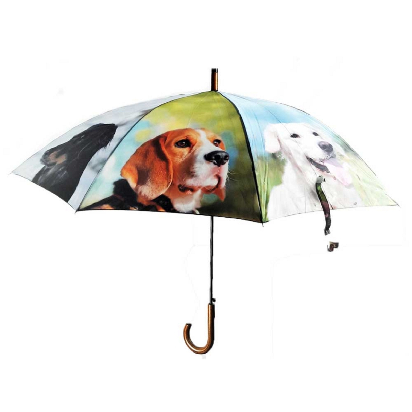37 Regenschirm Leine Für Hunde Soislee