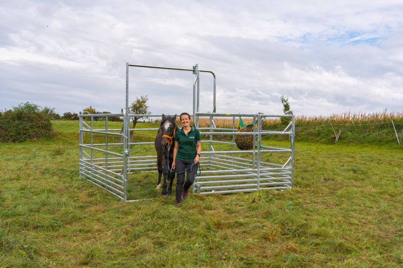 Pferdepanel Schiebetor